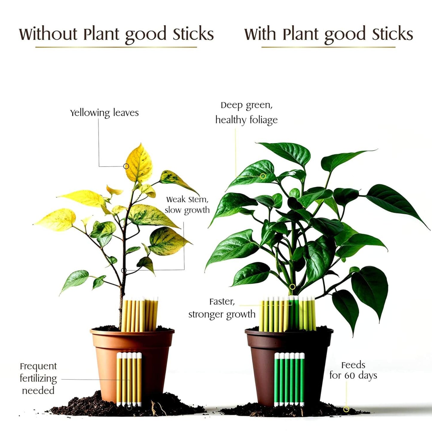 Plant Grow Fertilizer Sticks For Plants - 50 Stick Pack of 2 & 4