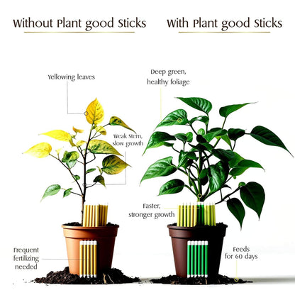 Plant Grow Fertilizer Sticks For Plants - 50 Stick Pack of 2 & 4